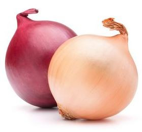 Chương trình dinh dưỡng NPK  cho hành tây