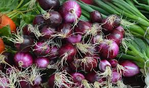 Hướng dẫn cây trồng: kết quả đã được chứng minh của việc bón phân cho hành tây