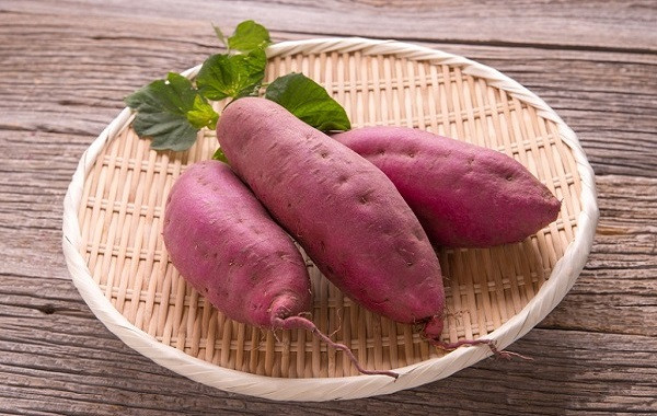 Quy trình bón phân Lâm Thao cho cây Khoai Lang