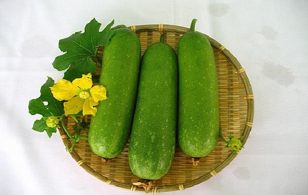 Quy trình  bón phân Lâm Thao cho cây bí xanh