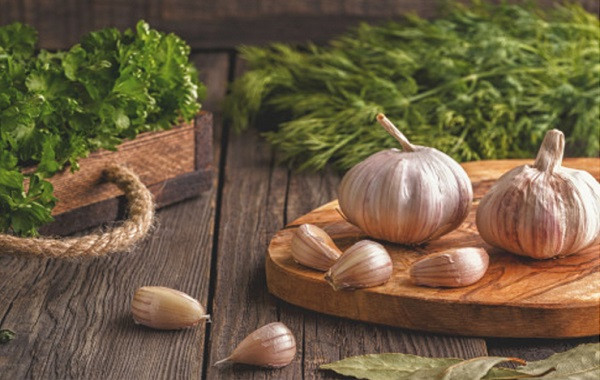 Các loại phân bón lý tưởng cho các giống tỏi khác nhau là gì?