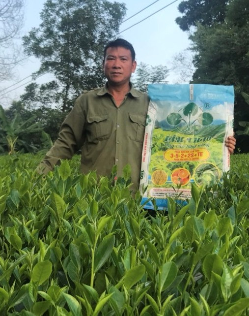 Bí mật về những đồi chè xanh ngát ở Thái Nguyên 