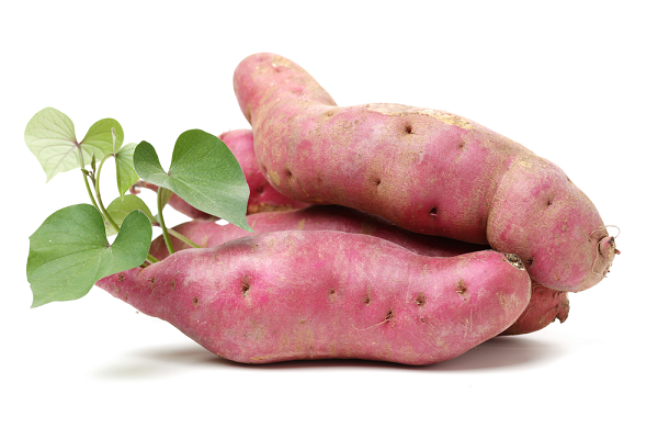 Thiếu hụt dinh dưỡng cây khoai lang