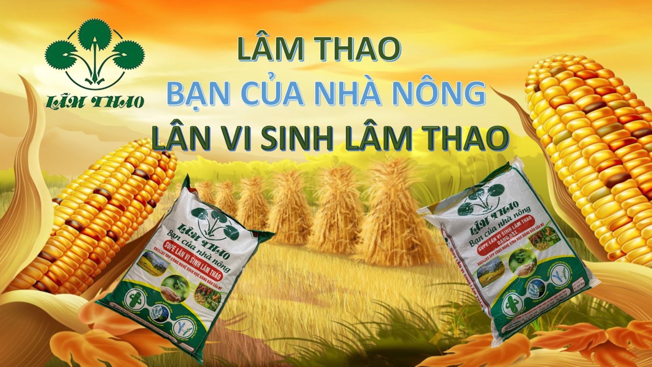 HỘI NGHỊ TRỰC TUYẾN GIỚI THIỆU VÀ TƯ VẤN VỀ PHÂN BÓN SUPE LÂN VI SINH LÂM THAO