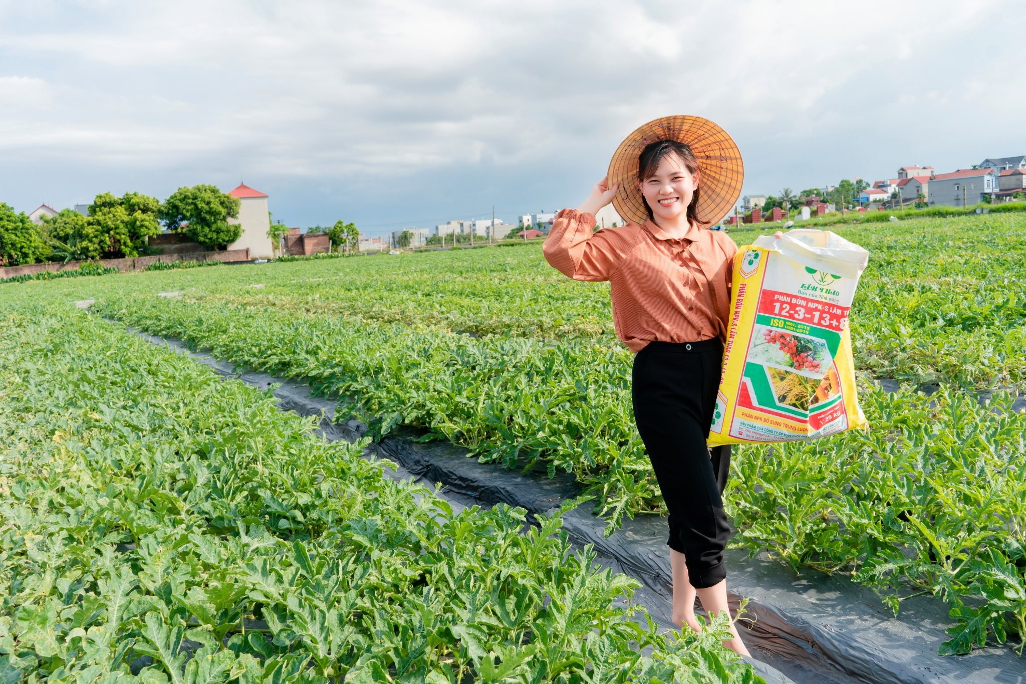 Nét Đẹp Lâm Thao "Sản phẩm phân bón Lâm Thao trên đồng ruộng" 01