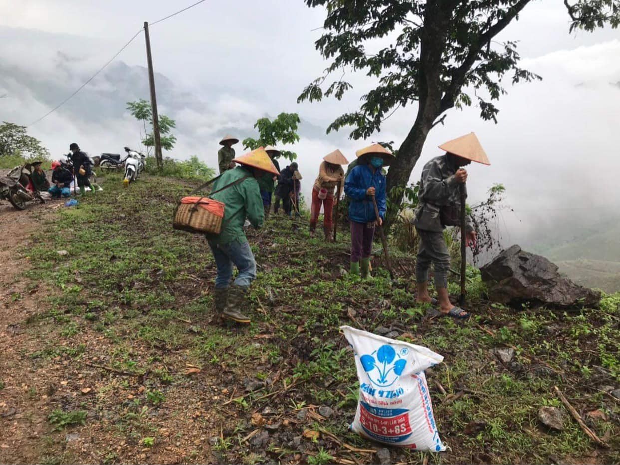 Nét Đẹp Lâm Thao "Sản phẩm phân bón Lâm Thao trên đồng ruộng" 06