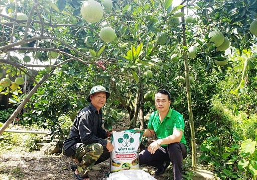 Giải pháp hoàn hảo cho phát triển bộ rễ cây trồng từ Supe lân vi sinh Lâm Thao