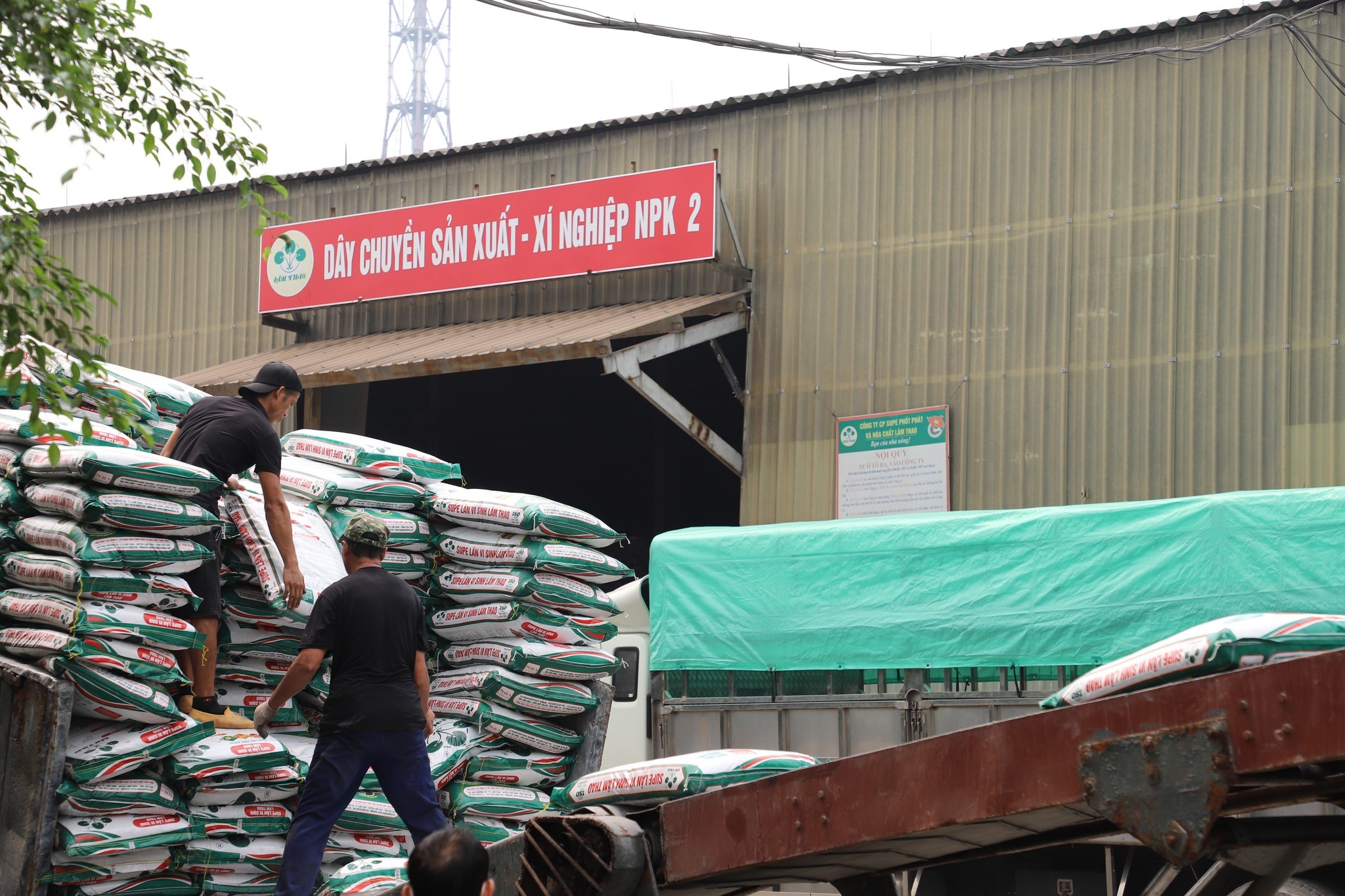 🌿 XUẤT BÁN LÔ 500 TẤN SUPE LÂN VI SINH LÂM THAO PHỤC VỤ THỊ TRƯỜNG MIỀN TRUNG TÂY NGUYÊN 🌿