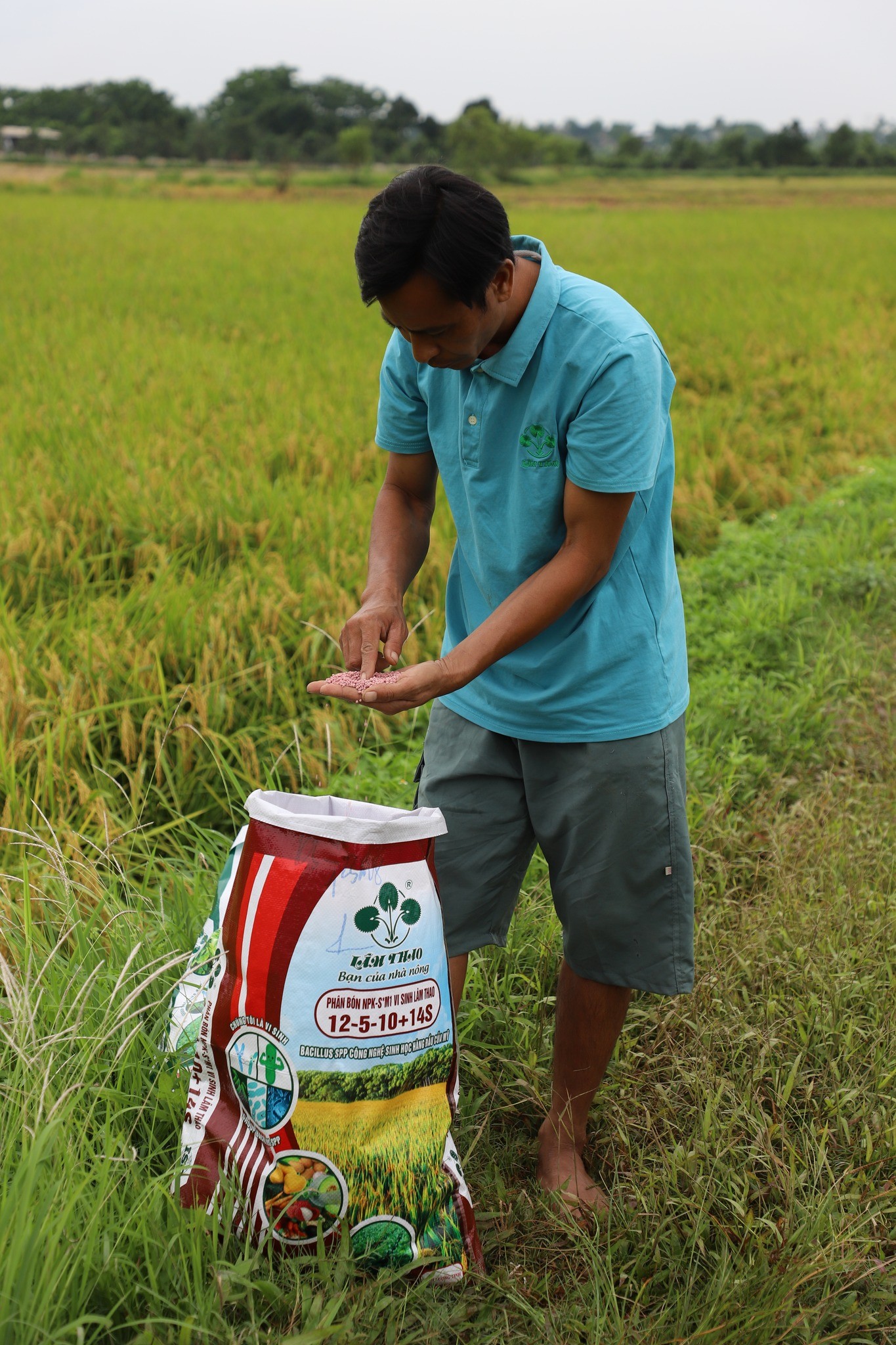 🌿PHÂN BÓN NPK-S*M1 VI SINH LÂM THAO 12-5-10+14S