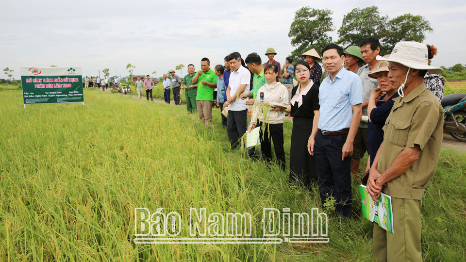 Đánh giá hiệu quả mô hình sử dụng phân bón NPK vi sinh Lâm Thao